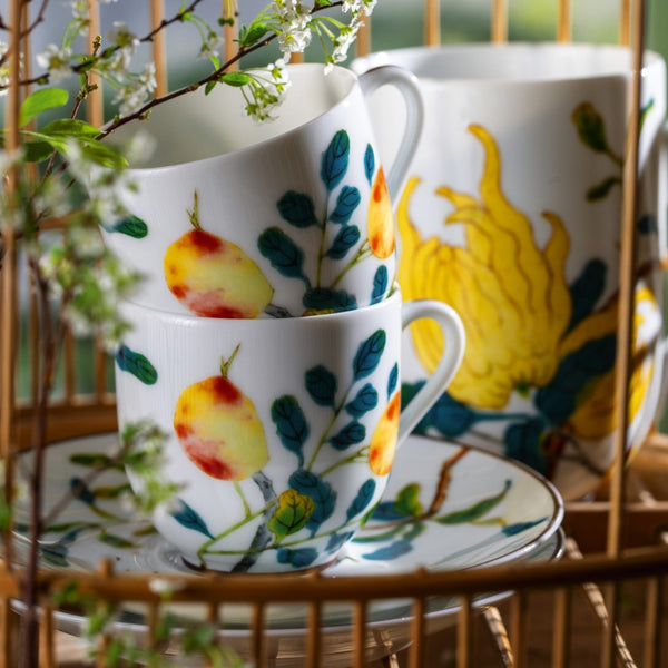 Styled Harmonia luxury porcelain coffee cup and saucer in white with fruit and floral motifs inspired by Chinese imperial art by Raynaud, in gift box