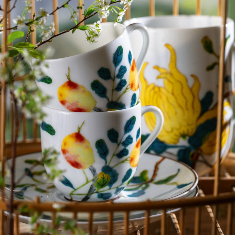 Styled Harmonia luxury porcelain coffee cup and saucer in white with fruit and floral motifs inspired by Chinese imperial art by Raynaud, in gift box