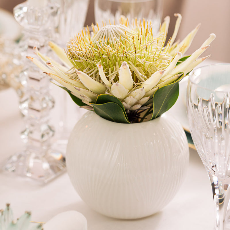 protea flower in a white round vase