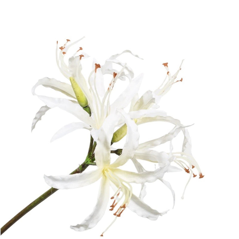 Handcrafted artificial Nerine stem in white made from waxed silk by Silk-ka, from the Flowers For Life collection by Amiramour.