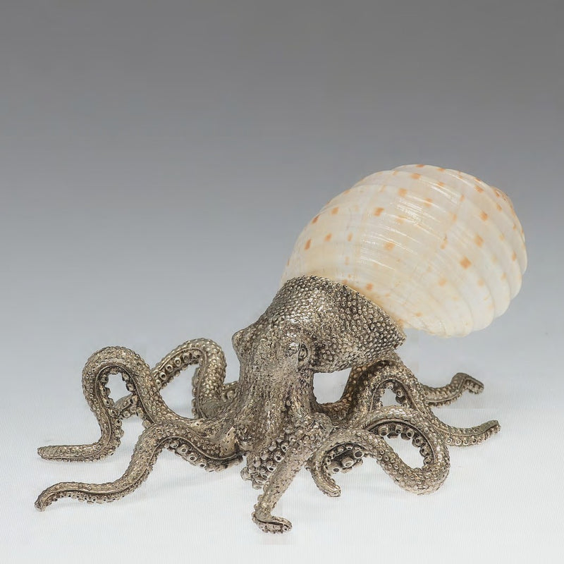 Silver plated octopus with tesselate tun shell with grey background