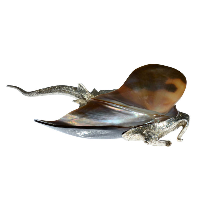 Stingray Decor Silver Plated Brown Shell white background