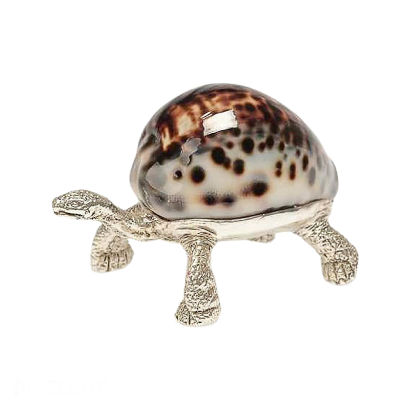 Silver baby Galapagos turtle sculpture with tiger cowrie shell