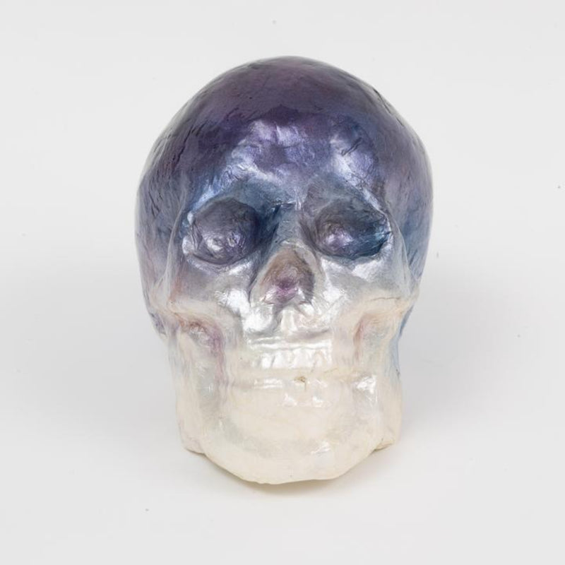 A decorative capiz skull with blue ombre coloring facing the viewer