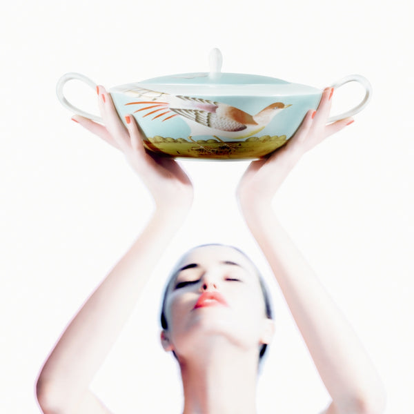 woman holding high a soup tureen with a bird pattern