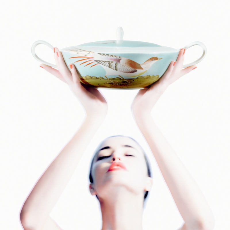 woman holding high a soup tureen with a bird pattern