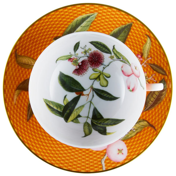 Top view of the Tea cup and saucer water apple motif from Trésor Fleuri collection Raynaud